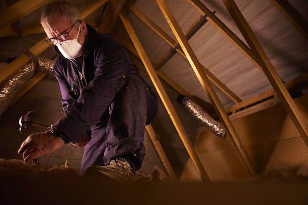 Best Commercial Insulation Contractor  in Elizabethton, TN