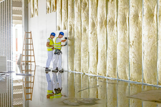 Best Crawl Space Insulation  in Elizabethton, TN